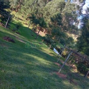 Chácara com 99m², 3 dormitórios, no bairro Apanhador em Caxias do Sul para Comprar