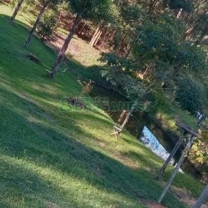 Chácara com 99m², 3 dormitórios, no bairro Apanhador em Caxias do Sul para Comprar