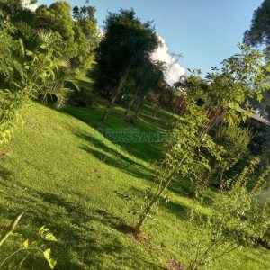 Chácara com 99m², 3 dormitórios, no bairro Apanhador em Caxias do Sul para Comprar