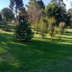 Chácara com 99m², 3 dormitórios, no bairro Apanhador em Caxias do Sul para Comprar