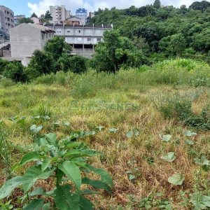 Terreno com 360m², no bairro Nossa Senhora das Graças em Caxias do Sul para Comprar