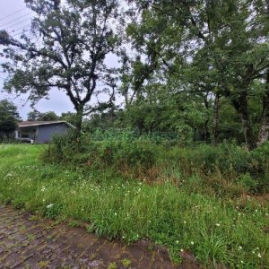 Terreno com 746m², no bairro Colina Sorriso em Caxias do Sul para Alugar ou Comprar