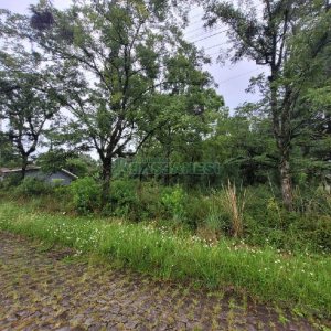 Terreno com 746m², no bairro Colina Sorriso em Caxias do Sul para Alugar ou Comprar
