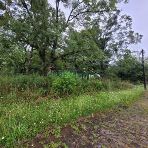 Terreno com 746m², no bairro Colina Sorriso em Caxias do Sul para Alugar ou Comprar
