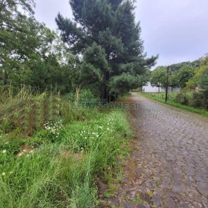 Terreno com 746m², no bairro Colina Sorriso em Caxias do Sul para Alugar ou Comprar