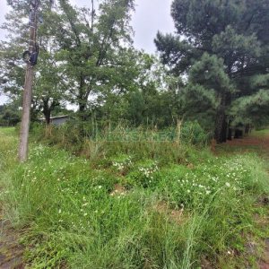 Terreno com 746m², no bairro Colina Sorriso em Caxias do Sul para Alugar ou Comprar