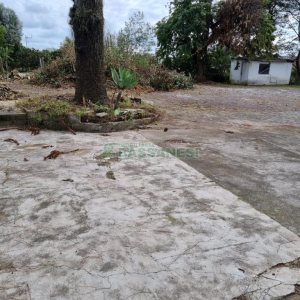Loja com 100m², no bairro Marechal Floriano em Caxias do Sul para Alugar