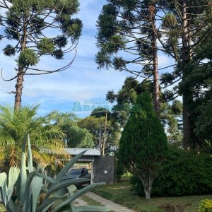 Chácara com 218m², 3 dormitórios, no bairro Pedancino em Caxias do Sul para Comprar