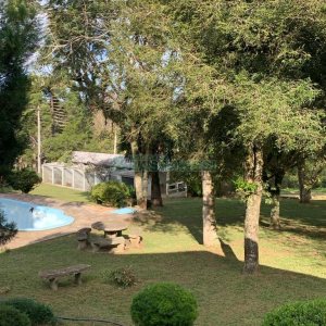 Chácara com 218m², 3 dormitórios, no bairro Pedancino em Caxias do Sul para Comprar