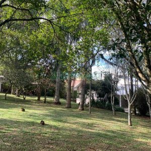 Chácara com 218m², 3 dormitórios, no bairro Pedancino em Caxias do Sul para Comprar