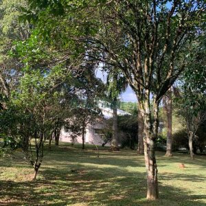 Chácara com 218m², 3 dormitórios, no bairro Pedancino em Caxias do Sul para Comprar