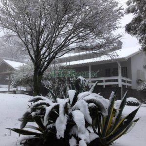 Chácara com 218m², 3 dormitórios, no bairro Pedancino em Caxias do Sul para Comprar