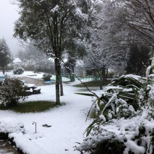 Chácara com 218m², 3 dormitórios, no bairro Pedancino em Caxias do Sul para Comprar