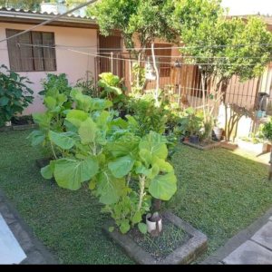 Casa com 200m², 3 dormitórios, no bairro Santa Catarina em Caxias do Sul para Comprar