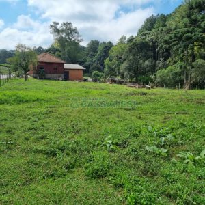 Chácara, no bairro Samuara em Caxias do Sul para Comprar
