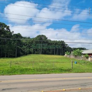 Chácara, no bairro Samuara em Caxias do Sul para Comprar