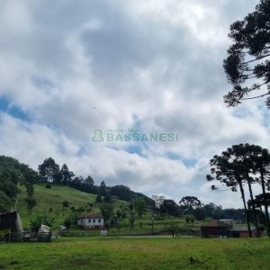 Chácara, no bairro Samuara em Caxias do Sul para Comprar