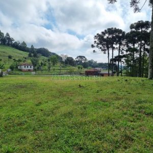 Chácara, no bairro Samuara em Caxias do Sul para Comprar