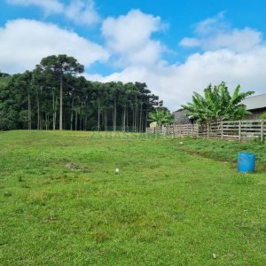 Chácara, no bairro Samuara em Caxias do Sul para Comprar