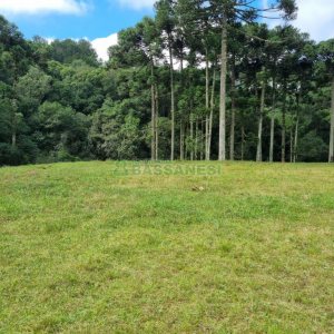Chácara, no bairro Samuara em Caxias do Sul para Comprar