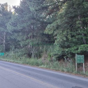 Chácara, no bairro Ana Rech em Caxias do Sul para Comprar