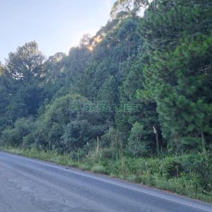 Chácara, no bairro Ana Rech em Caxias do Sul para Comprar