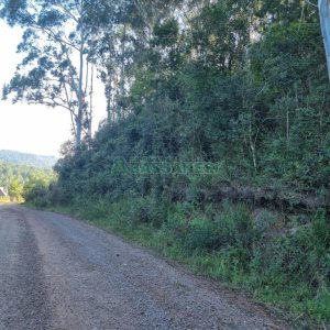 Chácara, no bairro Ana Rech em Caxias do Sul para Comprar