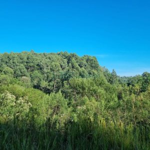 Chácara, no bairro Ana Rech em Caxias do Sul para Comprar