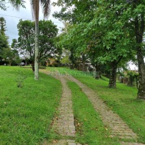 Chácara com 400m², 3 dormitórios, 1 vaga, no bairro Monte Bérico em Caxias do Sul para Comprar