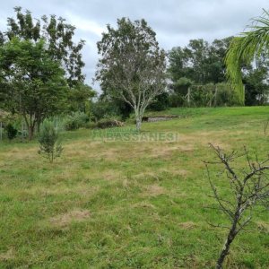 Chácara com 400m², 3 dormitórios, 1 vaga, no bairro Monte Bérico em Caxias do Sul para Comprar