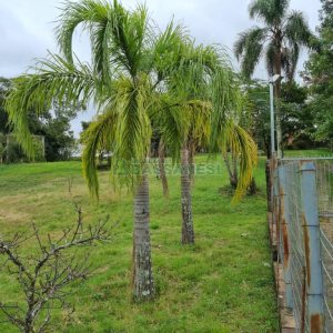 Chácara com 400m², 3 dormitórios, 1 vaga, no bairro Monte Bérico em Caxias do Sul para Comprar