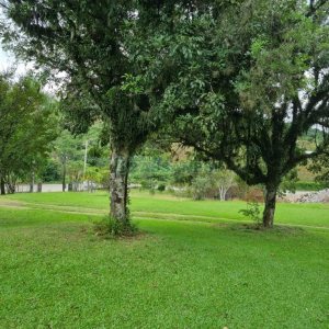 Chácara com 400m², 3 dormitórios, 1 vaga, no bairro Monte Bérico em Caxias do Sul para Comprar