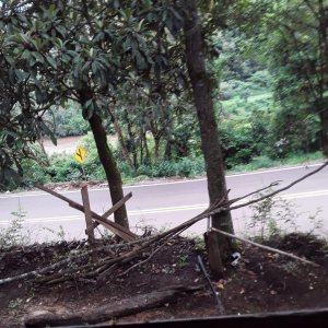 Chácara, 2 dormitórios, no bairro Interior em Caxias do Sul para Comprar