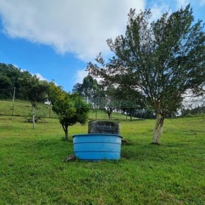 Chácara, no bairro São Giácomo em Caxias do Sul para Comprar