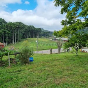 Chácara, no bairro São Giácomo em Caxias do Sul para Comprar