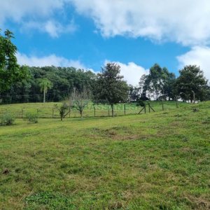 Chácara, no bairro São Giácomo em Caxias do Sul para Comprar