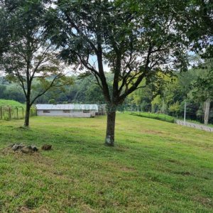 Chácara, no bairro São Giácomo em Caxias do Sul para Comprar