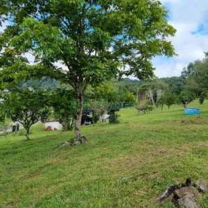Chácara, no bairro São Giácomo em Caxias do Sul para Comprar
