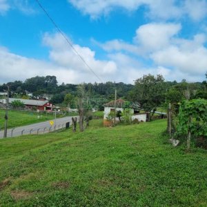 Chácara, no bairro São Giácomo em Caxias do Sul para Comprar