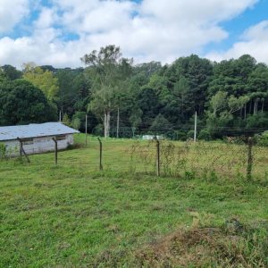 Chácara, no bairro São Giácomo em Caxias do Sul para Comprar