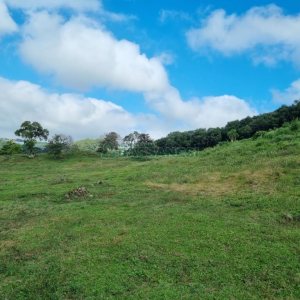 Chácara, no bairro São Giácomo em Caxias do Sul para Comprar