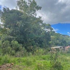 Chácara com 350m², no bairro Fazenda Souza em Caxias do Sul para Comprar