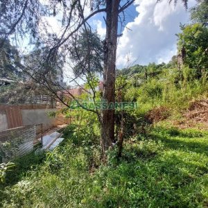 Casa Mobiliada com 157m², 2 dormitórios, no bairro Santa Catarina em Caxias do Sul para Comprar