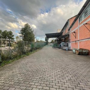 Pavilhão com 811m², no bairro Industrial em Caxias do Sul para Alugar