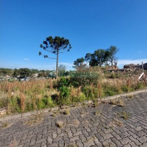 Terreno com 2531m², no bairro São Ciro em Caxias do Sul para Comprar