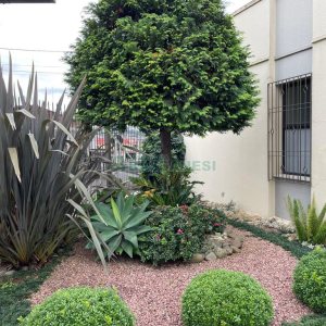 Casa com 157m², 3 dormitórios, 8 vagas, no bairro Pio X em Caxias do Sul para Comprar