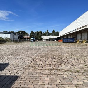 Pavilhão com 6000m², no bairro Cidade Nova em Caxias do Sul para Alugar