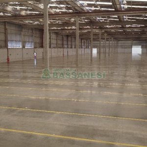 Pavilhão com 6000m², no bairro Cidade Nova em Caxias do Sul para Alugar