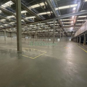 Pavilhão com 6000m², no bairro Cidade Nova em Caxias do Sul para Alugar