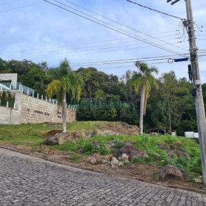 Terreno com 1230m², no bairro Linha 40 em Caxias do Sul para Comprar